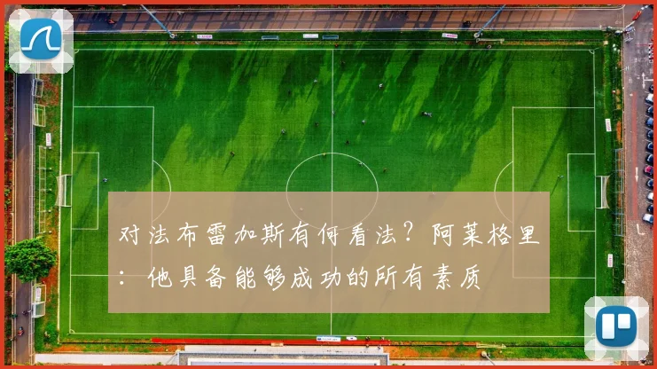 对法布雷加斯有何看法？阿莱格里：他具备能够成功的所有素质