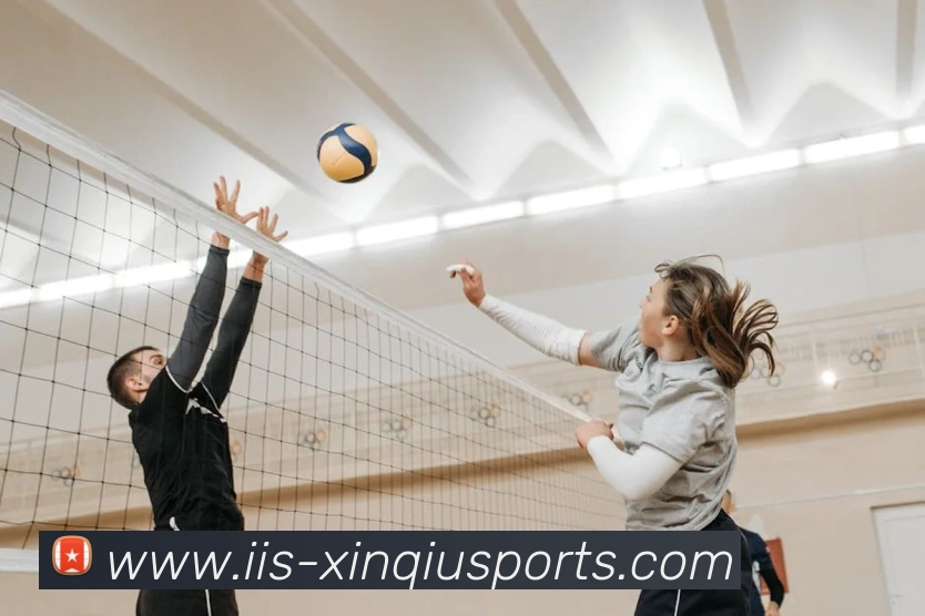 新球体育app平台生态图